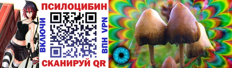 купить наркотик  Бийск  Галлюциногенные грибы Magic Shrooms 